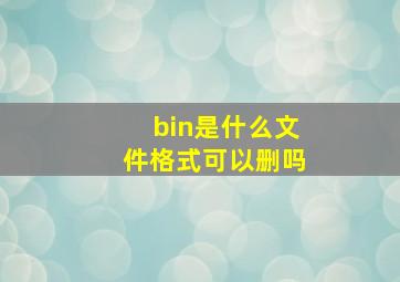 bin是什么文件格式可以删吗