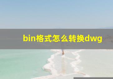 bin格式怎么转换dwg