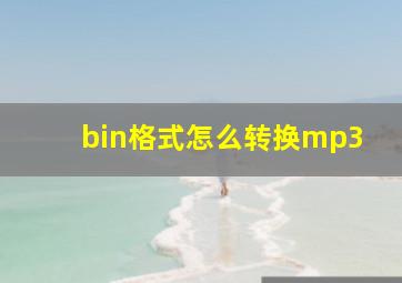 bin格式怎么转换mp3