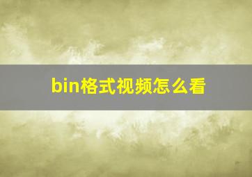 bin格式视频怎么看