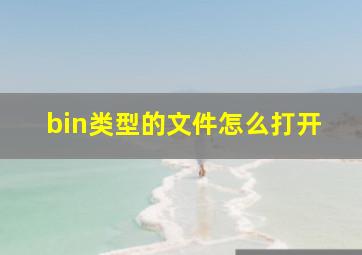 bin类型的文件怎么打开