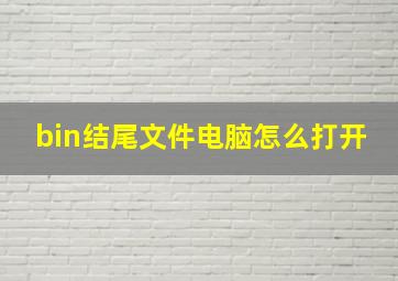 bin结尾文件电脑怎么打开