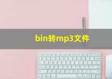 bin转mp3文件