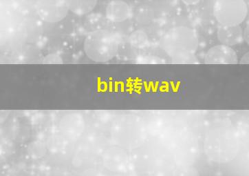 bin转wav