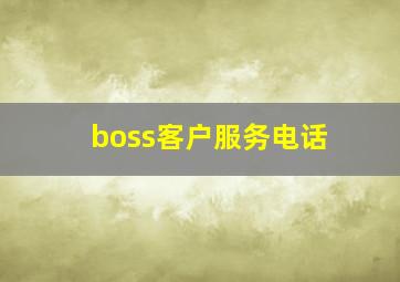 boss客户服务电话