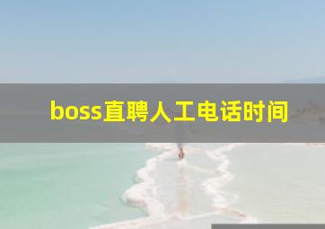 boss直聘人工电话时间