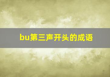 bu第三声开头的成语