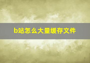 b站怎么大量缓存文件