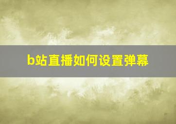 b站直播如何设置弹幕