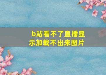 b站看不了直播显示加载不出来图片