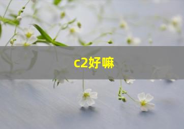 c2好嘛