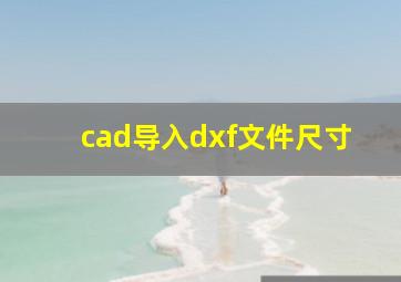 cad导入dxf文件尺寸