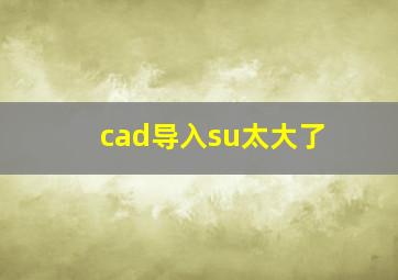 cad导入su太大了