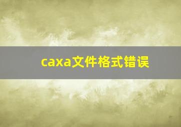 caxa文件格式错误