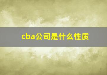 cba公司是什么性质