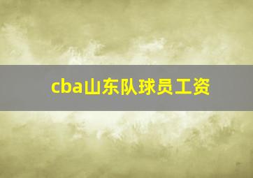 cba山东队球员工资