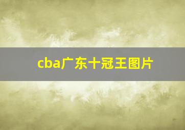 cba广东十冠王图片