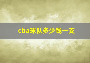 cba球队多少钱一支