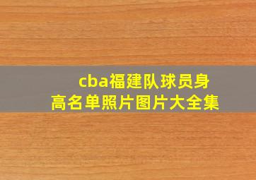 cba福建队球员身高名单照片图片大全集