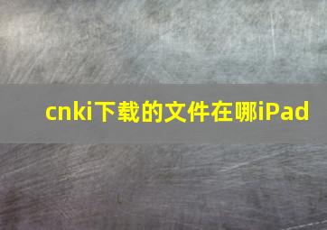 cnki下载的文件在哪iPad