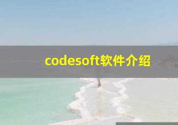 codesoft软件介绍