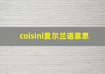 coisini爱尔兰语意思