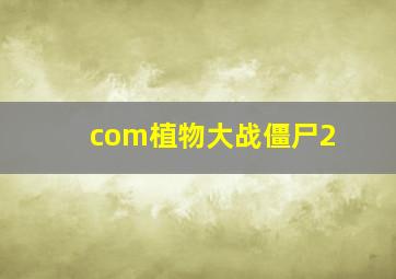 com植物大战僵尸2