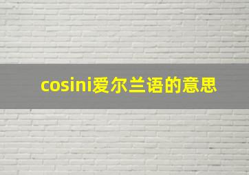 cosini爱尔兰语的意思