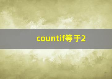 countif等于2