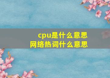 cpu是什么意思网络热词什么意思