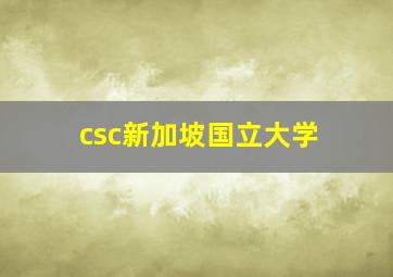 csc新加坡国立大学