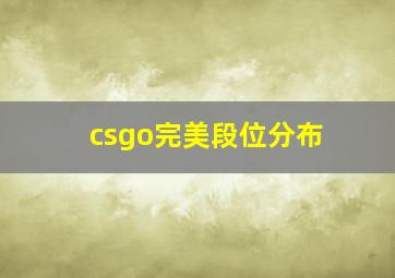 csgo完美段位分布