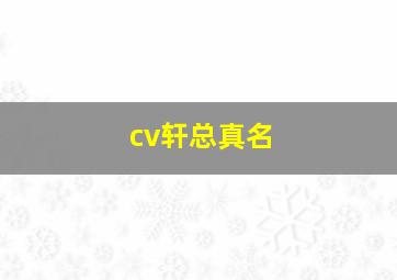 cv轩总真名