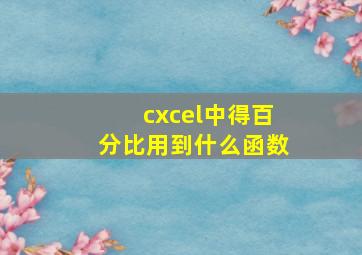 cxcel中得百分比用到什么函数