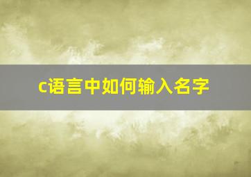 c语言中如何输入名字