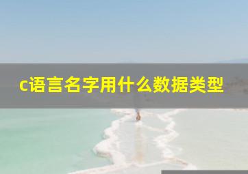 c语言名字用什么数据类型