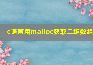 c语言用malloc获取二维数组