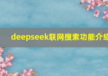 deepseek联网搜索功能介绍