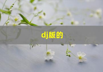 dj版的