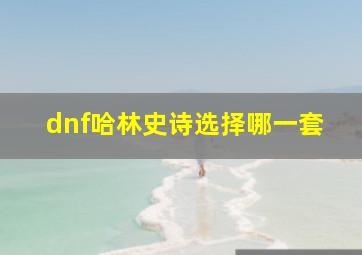 dnf哈林史诗选择哪一套