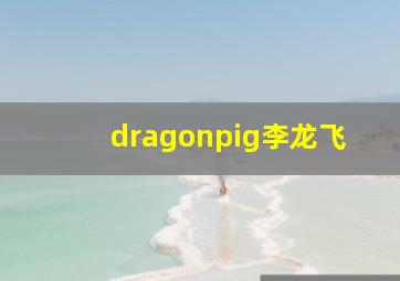 dragonpig李龙飞