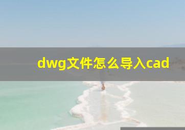 dwg文件怎么导入cad