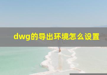 dwg的导出环境怎么设置