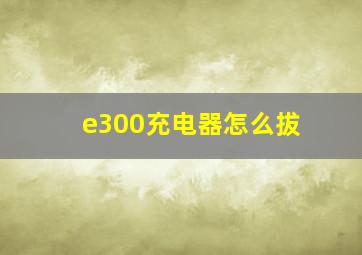 e300充电器怎么拔