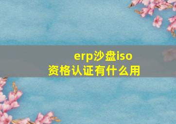 erp沙盘iso资格认证有什么用