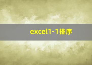 excel1-1排序