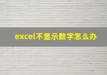 excel不显示数字怎么办