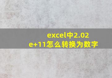 excel中2.02e+11怎么转换为数字