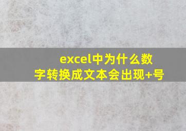 excel中为什么数字转换成文本会出现+号