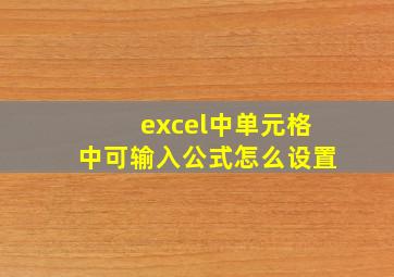 excel中单元格中可输入公式怎么设置